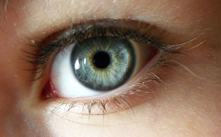 Los Ojos